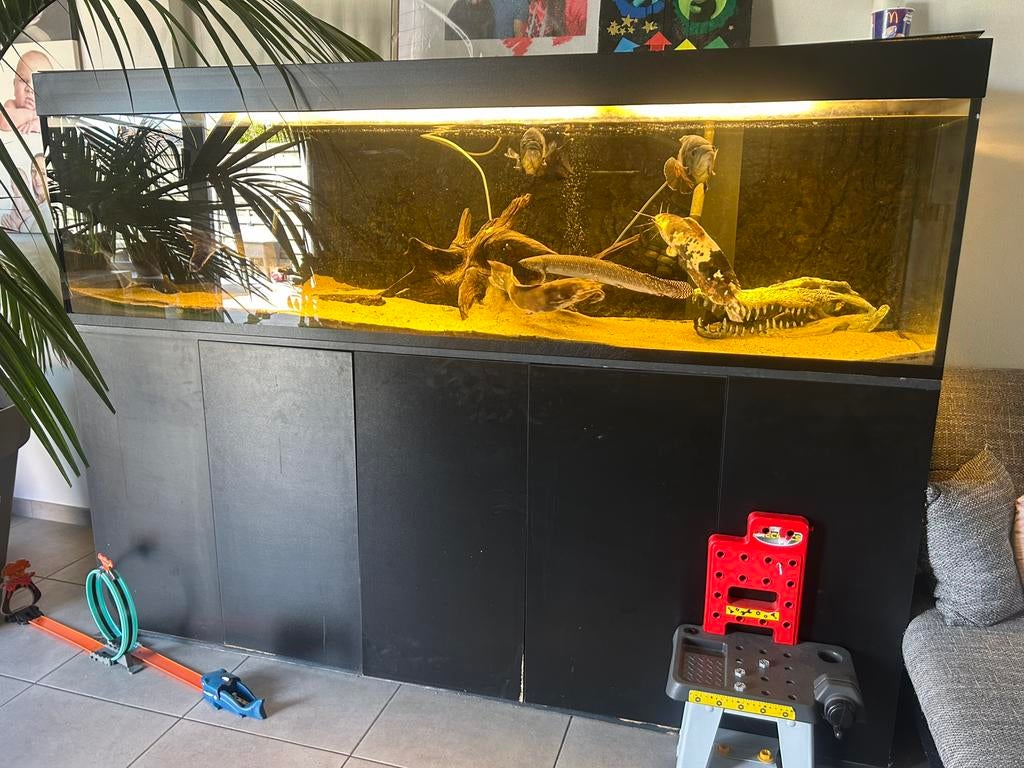 Aquaruim 2m10 alles er bij, Dieren en Toebehoren, Ophalen, Pomp, Zo goed als nieuw