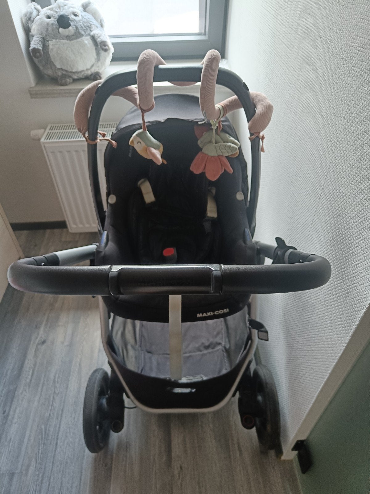 buggy, Kinderen en Baby's, Ophalen, Gebruikt