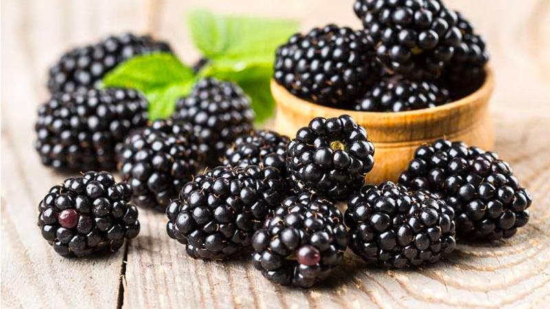 Fruitplanten – framboos, druif, braam, aalbes – €2,5, Ophalen