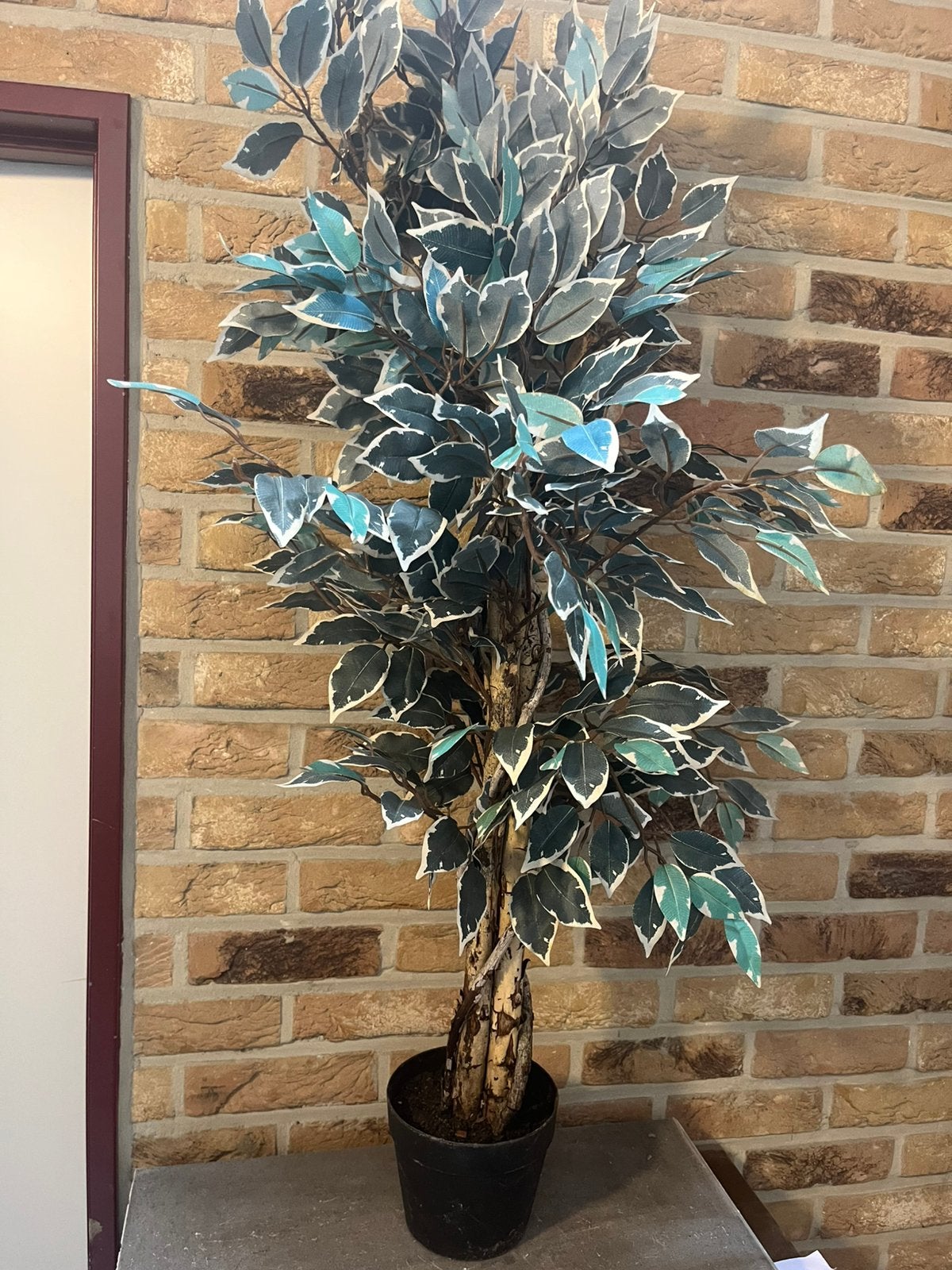 Kunststof plant, Kunststof, Ophalen, Zo goed als nieuw