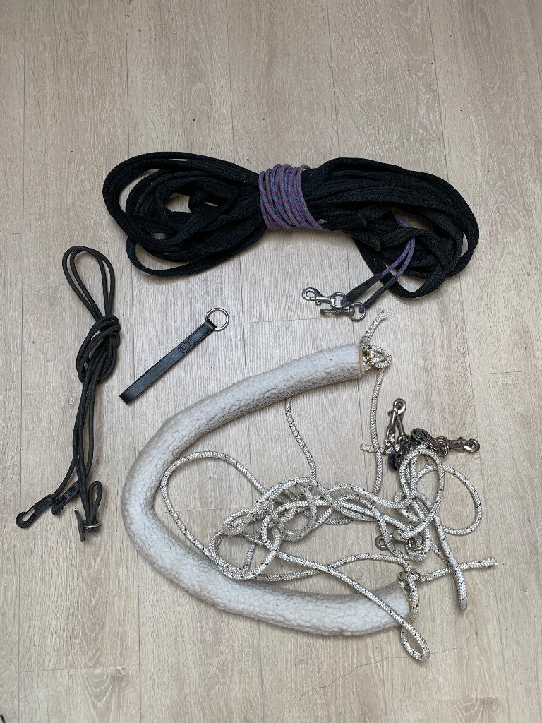 Longeermateriaal, Animaux & Accessoires, Chevaux & Poneys | Brides & Harnachement, Enlèvement ou Envoi, Autres marques, Rênes d'enrênement