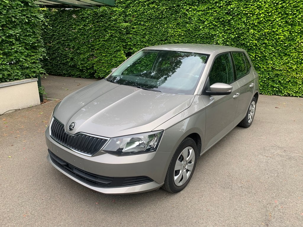 Skoda Fabia 1.0 TSI DSG, Autos, Skoda, Achat, Euro 6, Entreprise, Beige