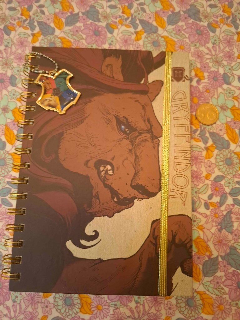 Harry Potter notitie boek, Collections, Harry Potter, Enlèvement ou Envoi, Neuf, Ustensile
