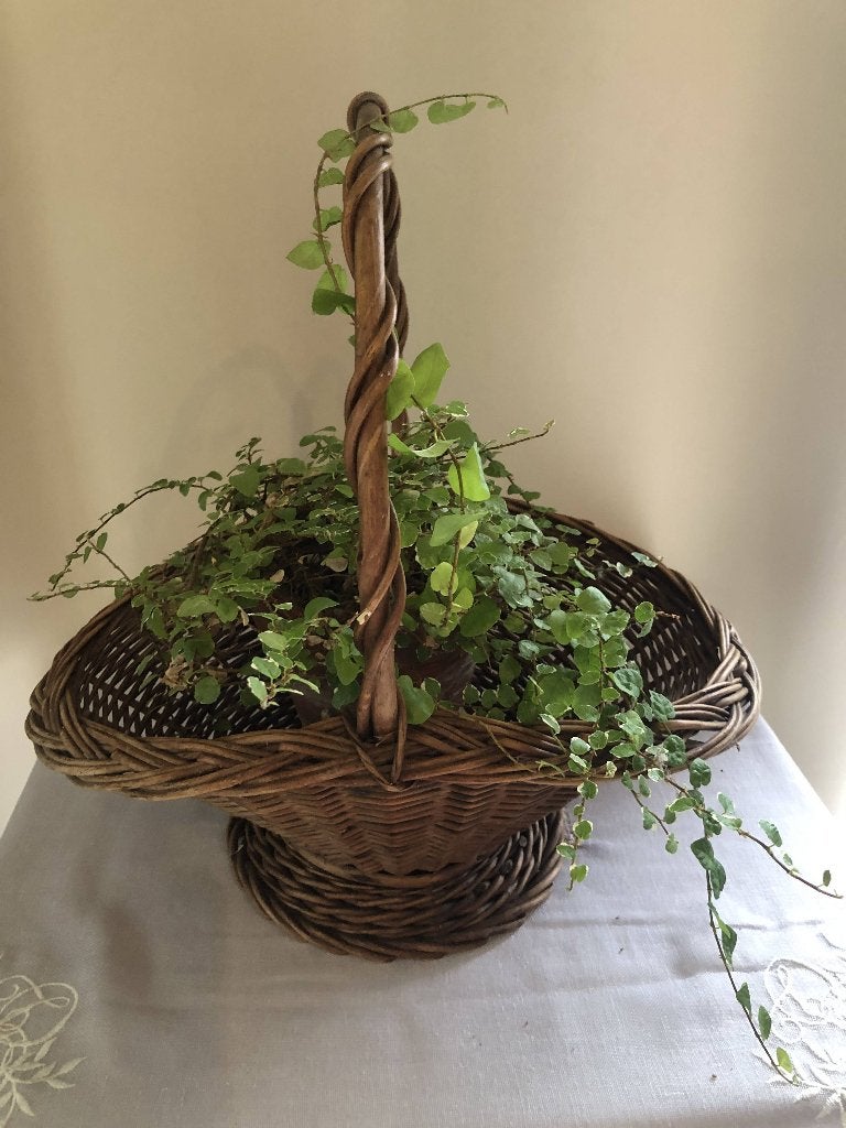 ancien panier en vannerie, Osier, Enlèvement, Ovale, Tressé