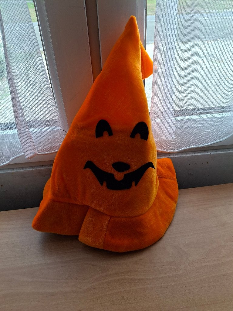 Halloween- chapeau de sorcière-retrait domicile  neuf!!, Enlèvement, Neuf, Garçon ou Fille