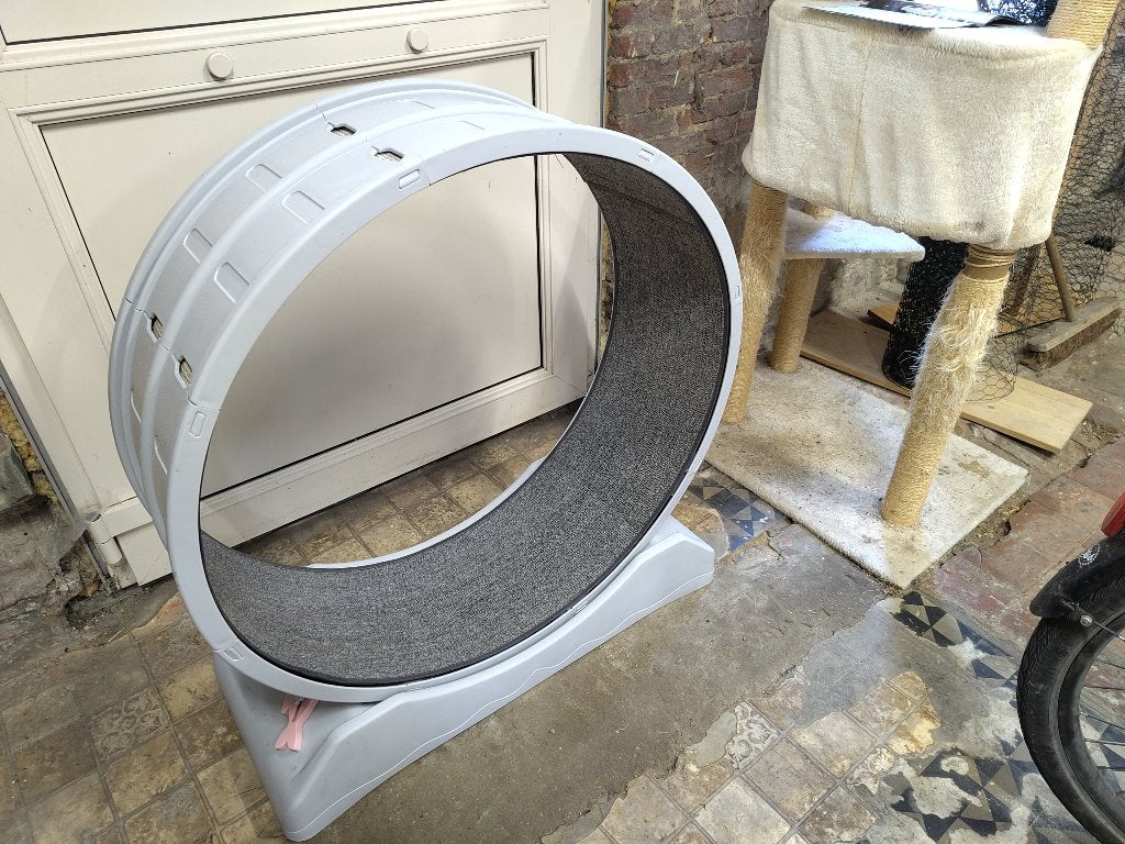 Loopwiel voor katten, Dieren en Toebehoren, Katten-accessoires, Ophalen, Gebruikt