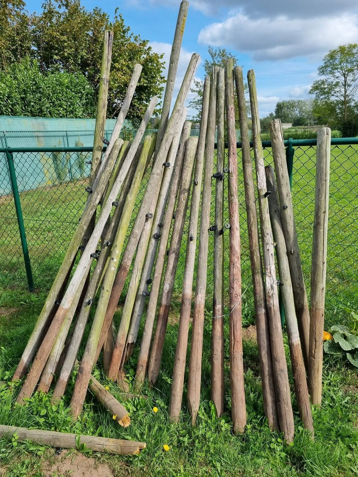 Houten palen, Tuin en Terras, Ophalen, Gebruikt