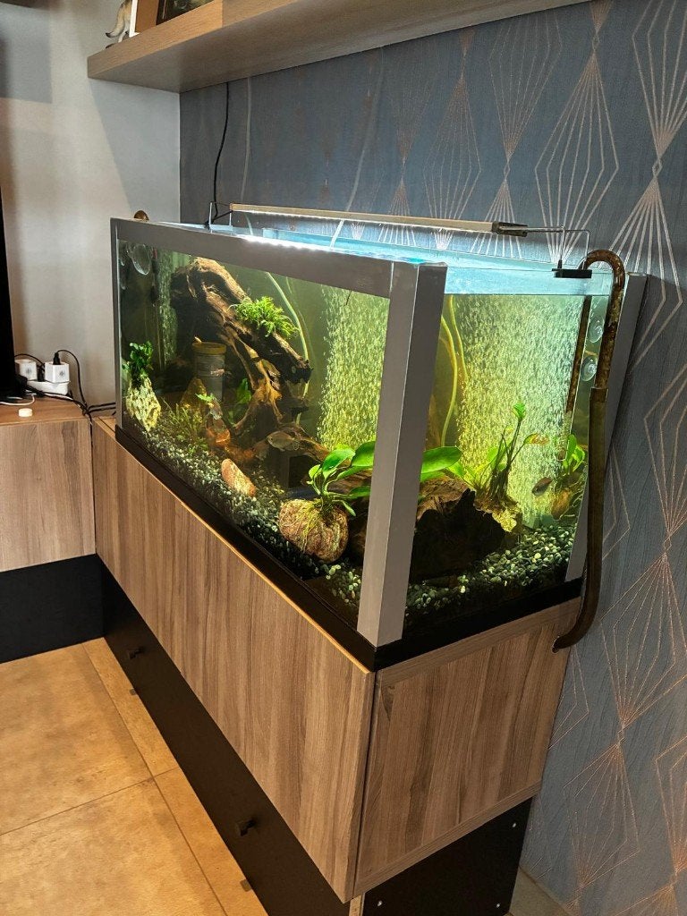 Aquarium 200L volledige setup, Animaux & Accessoires, Poissons | Aquariums & Accessoires, Comme neuf, Aquarium d'eau douce rempli