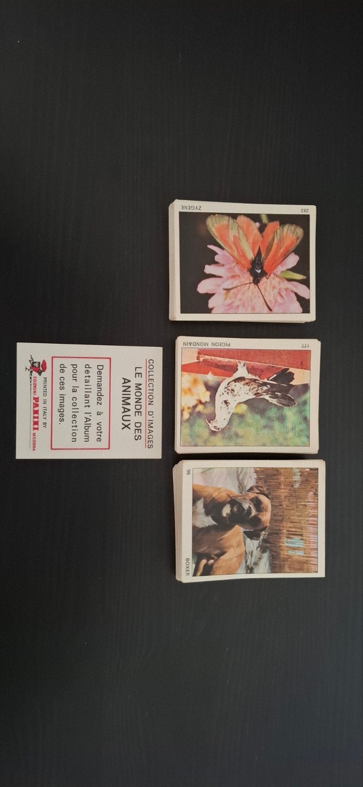 Panini, de dierenwereld, Verzamelen, Stickers, Ophalen of Verzenden