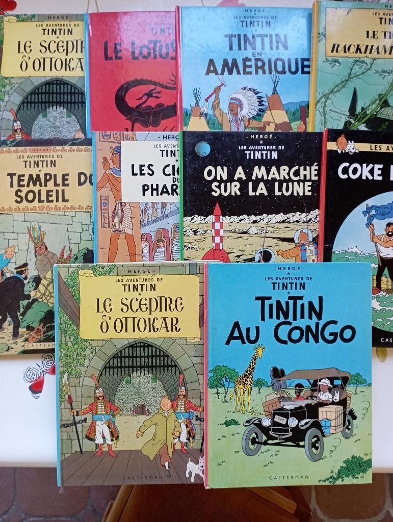 10 BD TINTIN, Plusieurs BD, Enlèvement, Utilisé, HERGE