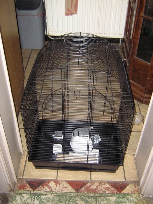Cage pour oiseaux, Animaux & Accessoires, Enlèvement, Neuf, Métal, Cage à oiseaux