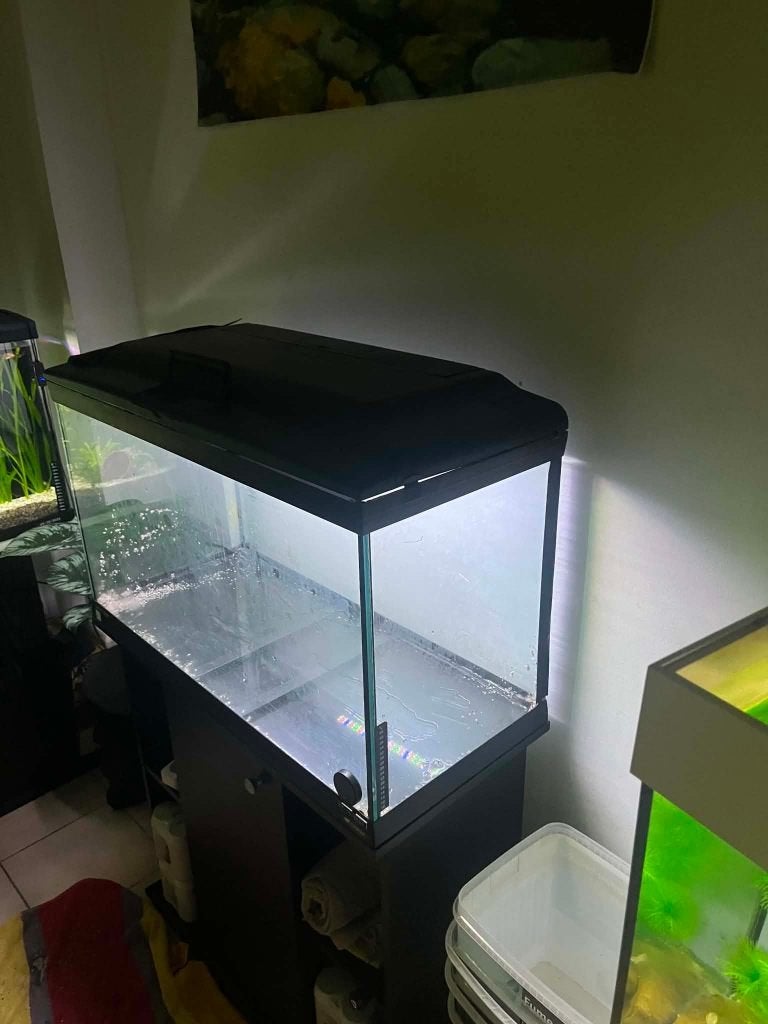 AQUARIUMS, Dieren en Toebehoren, Ophalen, Verwarming, Filter, Juwel