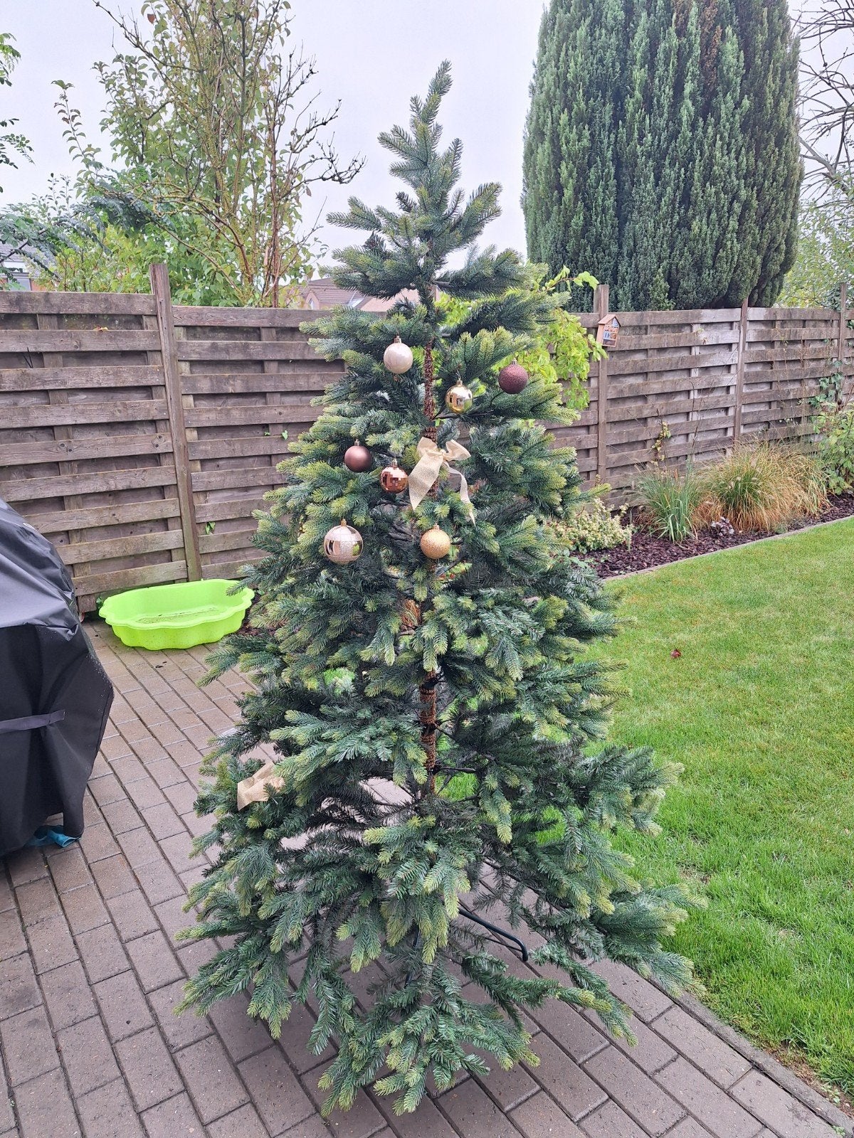 kerstboom, Tuin en Terras, Ophalen