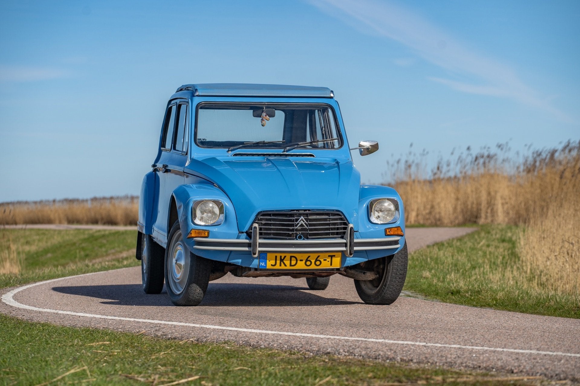 Citroen Dyane 6 Confort, 4 deurs, 602 cc, Citroën, Blauw