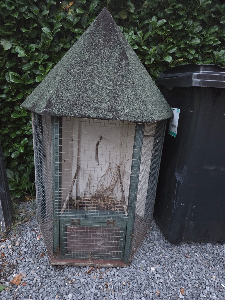 Kleine kanarie kooi, Animaux & Accessoires, Oiseaux | Canaris