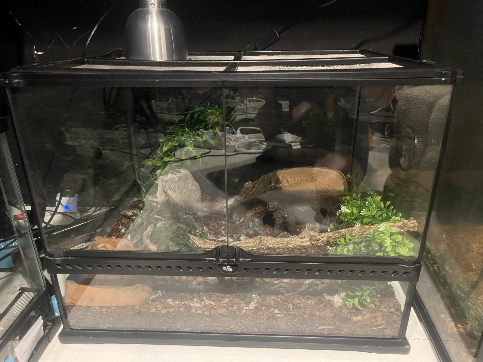 Terrarium, Dieren en Toebehoren, Ophalen, Zo goed als nieuw
