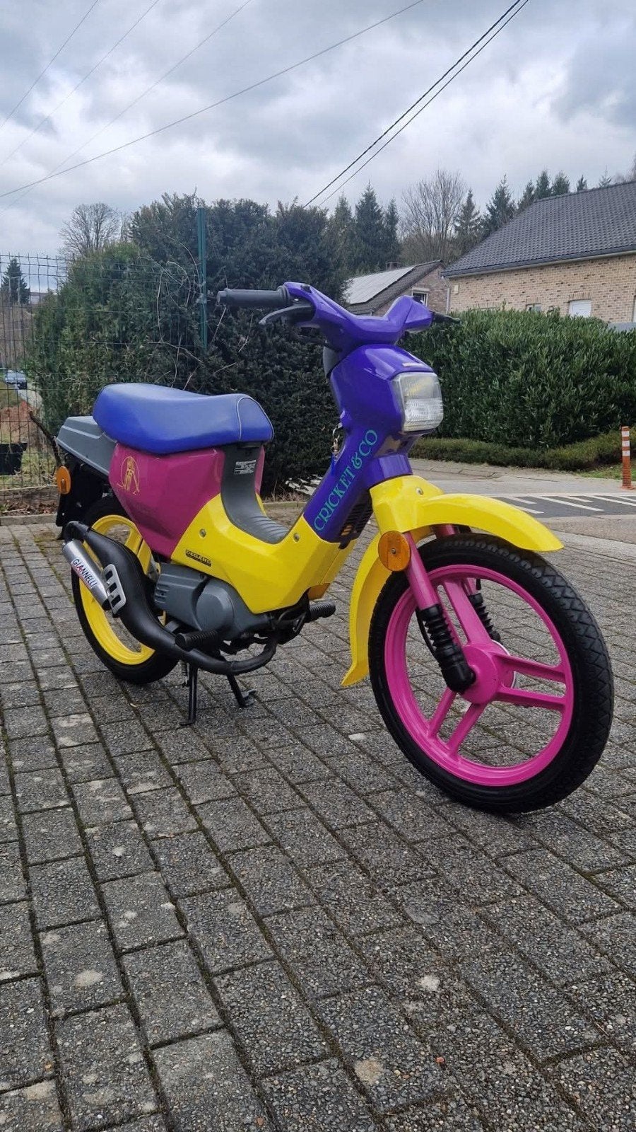 Honda wallaroo cricket and co, Enlèvement ou Envoi