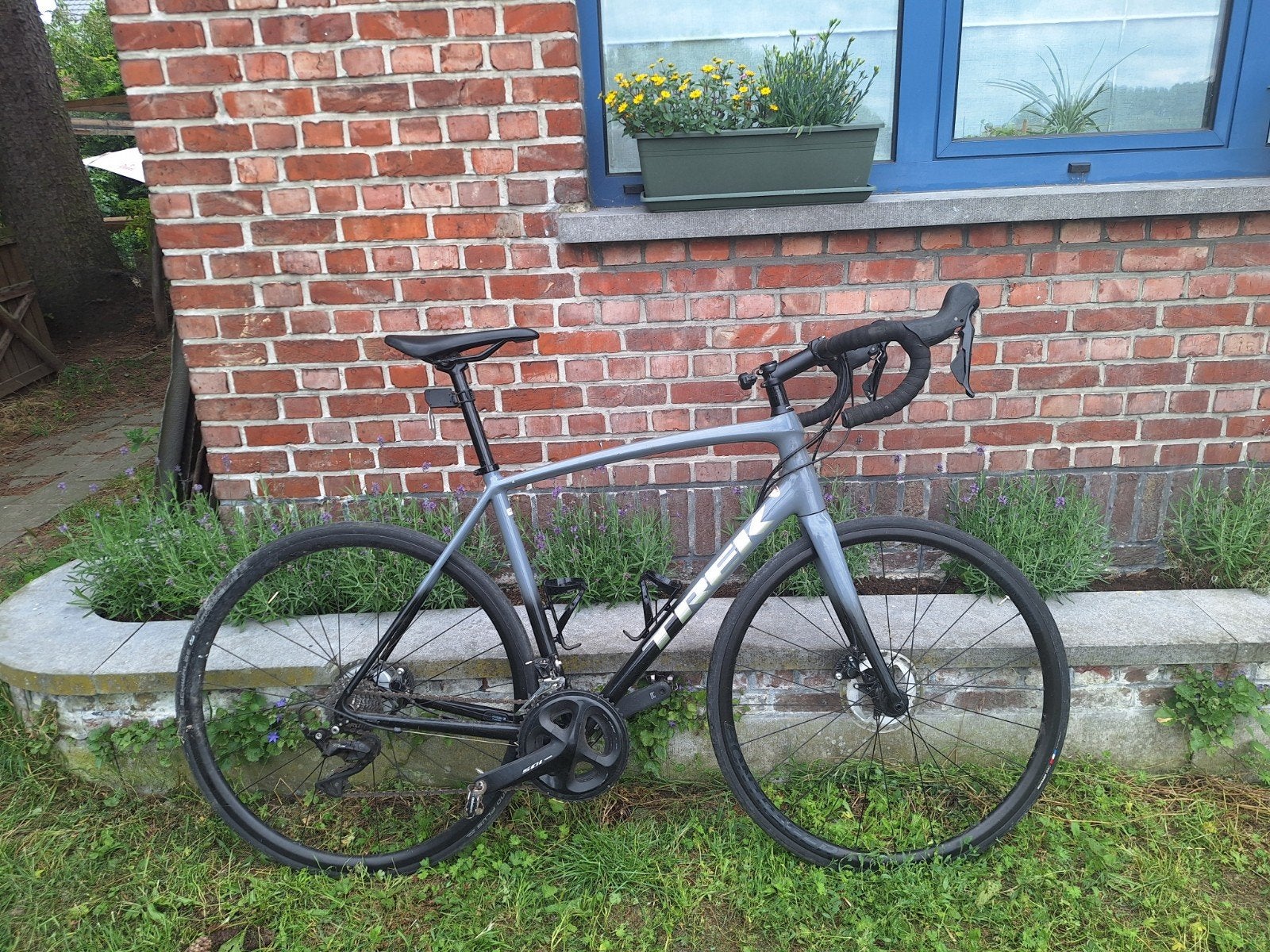 Koersfiets te koop., Fietsen en Brommers, 28 inch, Gebruikt, 10 tot 15 versnellingen, 49 tot 53 cm