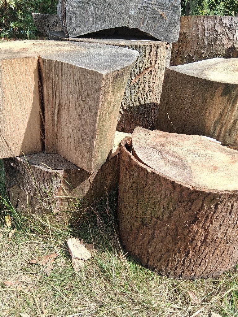 MOOI BRANDHOUT (stamhout es): zelf te klieven, Moins de 3 m³, Enlèvement, Frêne