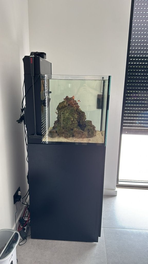Red Sea Max Nano G2 XL 120L, Red Sea, Aquarium d'eau de mer rempli, Comme neuf, Enlèvement