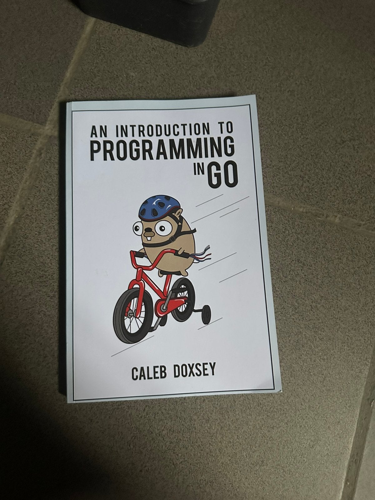 Een inleiding tot programmeren in Go, Boeken, Ophalen, Zo goed als nieuw