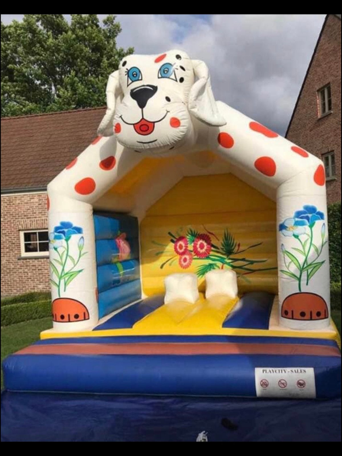 Mooi leuk klein hondje te Huur , 2 dagen springen 75€, Enlèvement, Comme neuf