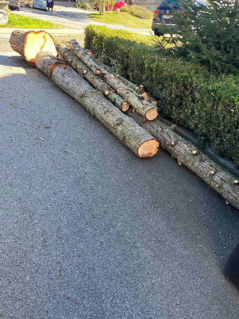Bois à donner, Jardin & Terrasse, Moins de 3 m³, Enlèvement, Autres essences de bois, Troncs d'arbres