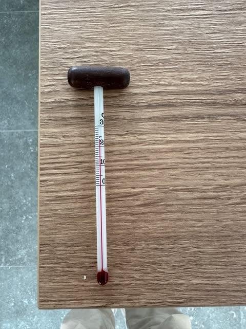 thermomètre de température du vin, Collections, Vins, Enlèvement ou Envoi, Utilisé, Autres types