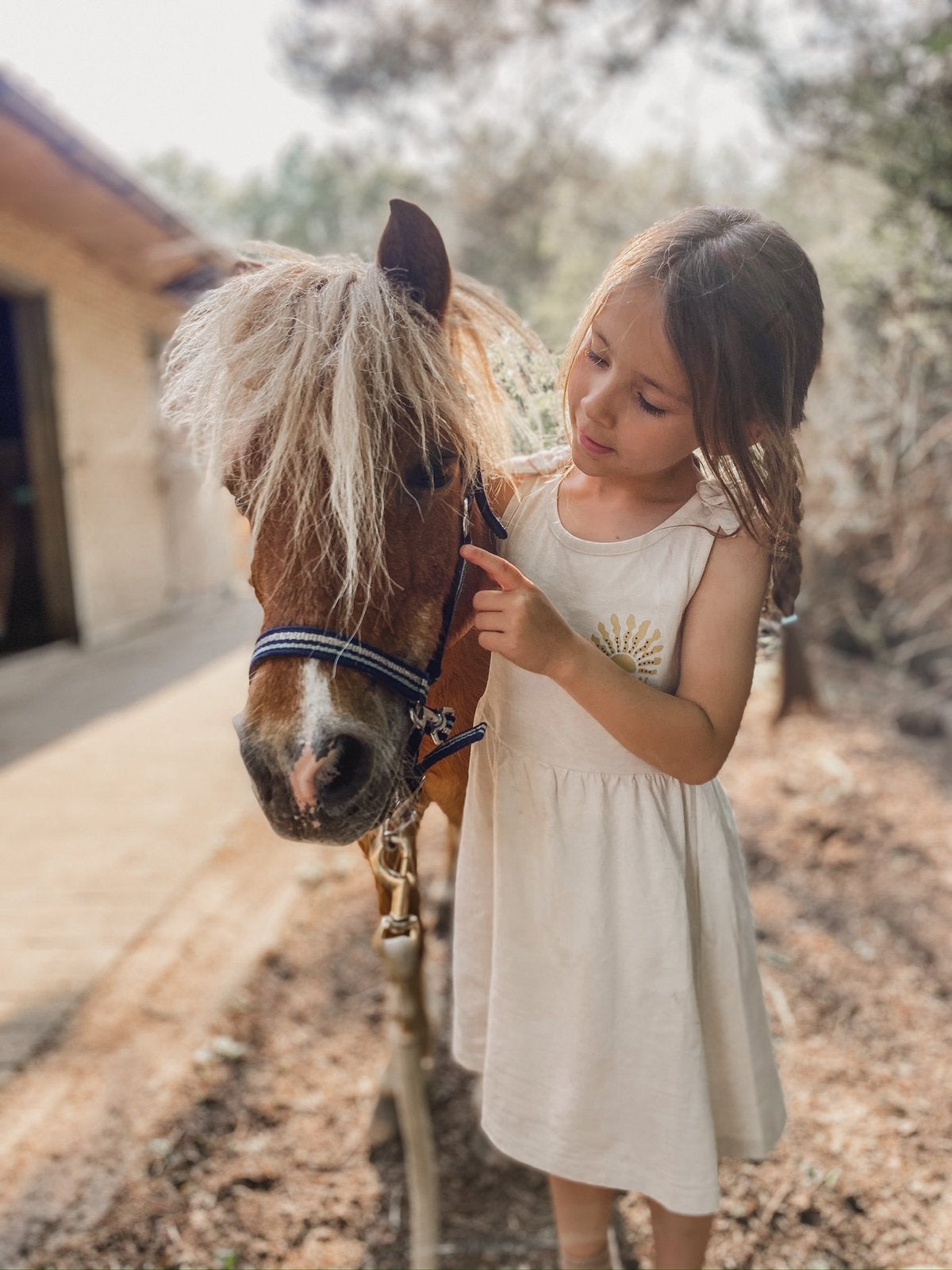 Ponyliefhebber gezocht, Dieren en Toebehoren, Paarden