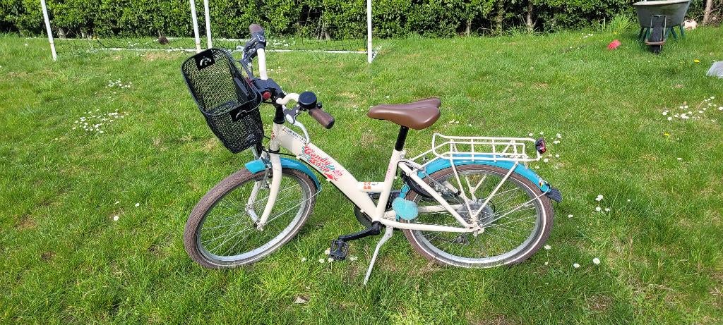 Meisjesfiets 20 inch, Ophalen, Gebruikt, 20 inch, BikeFun Kids (BFK)