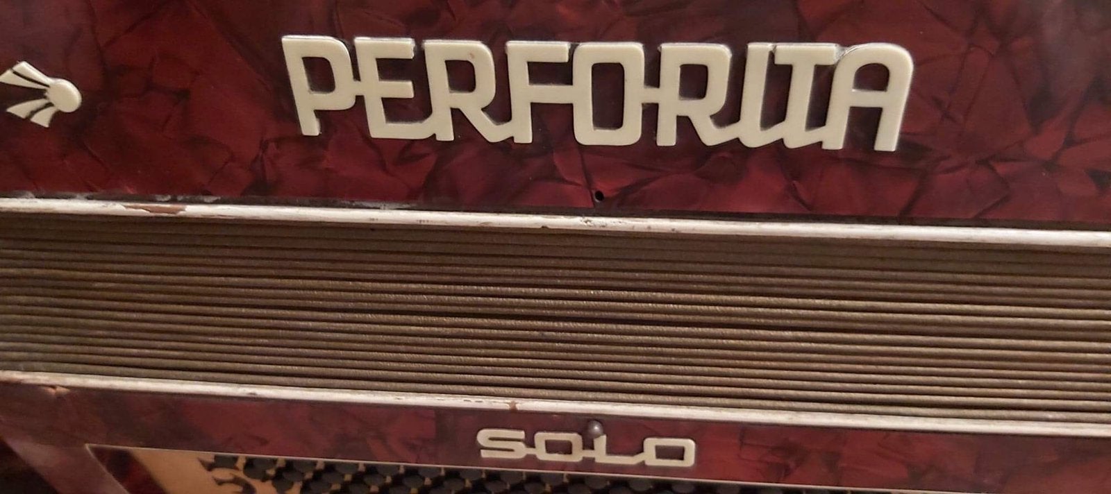 Accordion, Musique & Instruments, Enlèvement, Utilisé