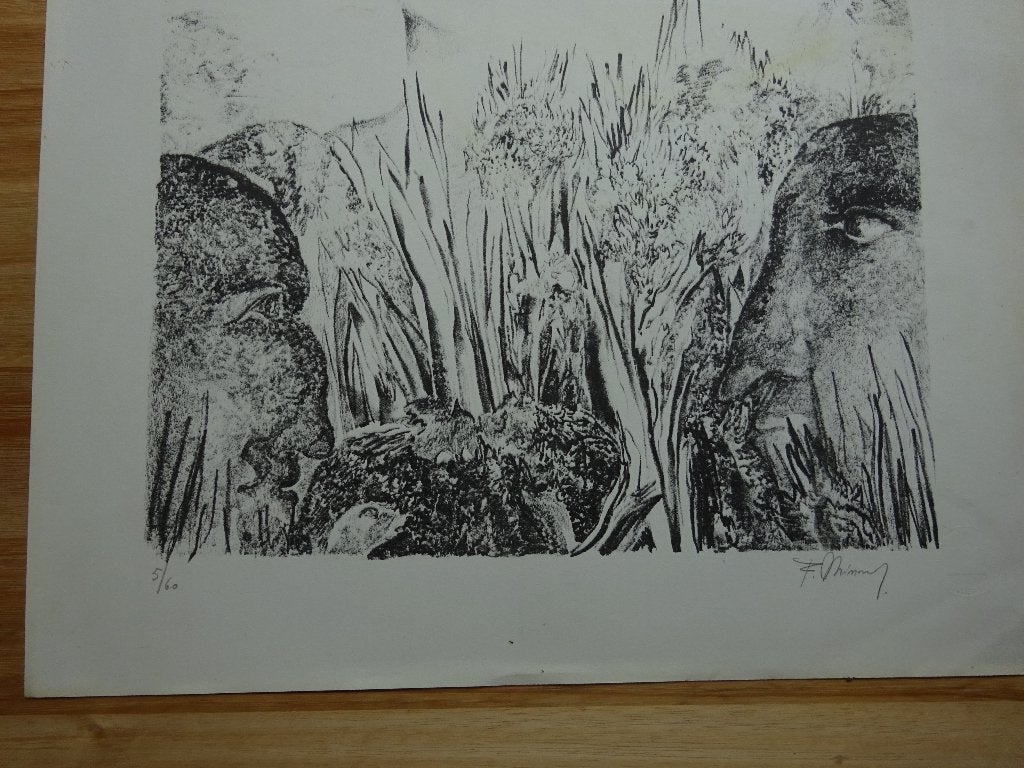 Frans Minnaert, Litho, 5/60, Figuur, 1977, Antiek en Kunst, Personages en Fantasiefiguren, Ophalen of Verzenden, Lithografie, Gelimiteerde oplage