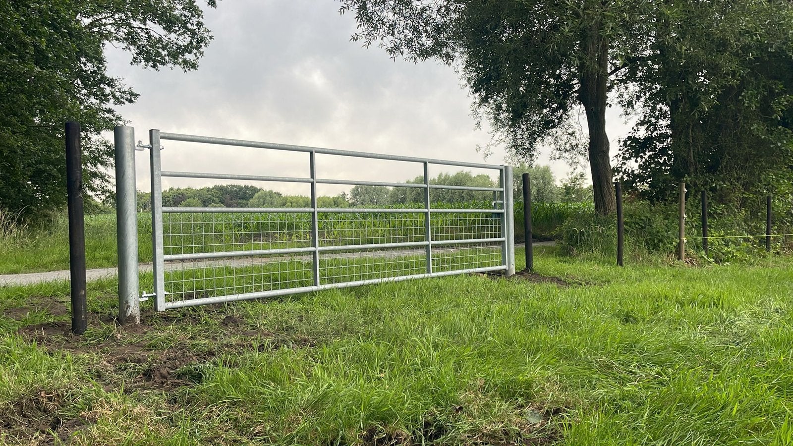 Stevige gegalvaniseerde weidepoorten half gaas, 2 of 3 paarden of pony's
