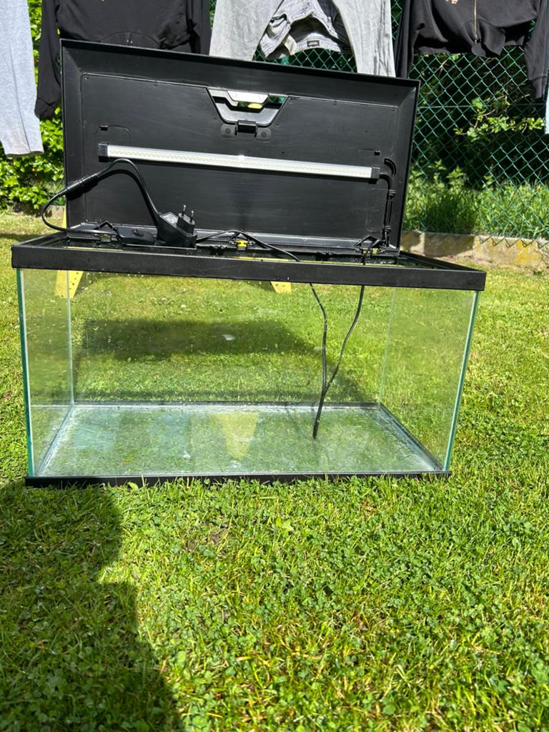 Volledige aquarium met filter, Dieren en Toebehoren, Vissen | Aquaria en Toebehoren, Zo goed als nieuw, Decoratie, Ophalen
