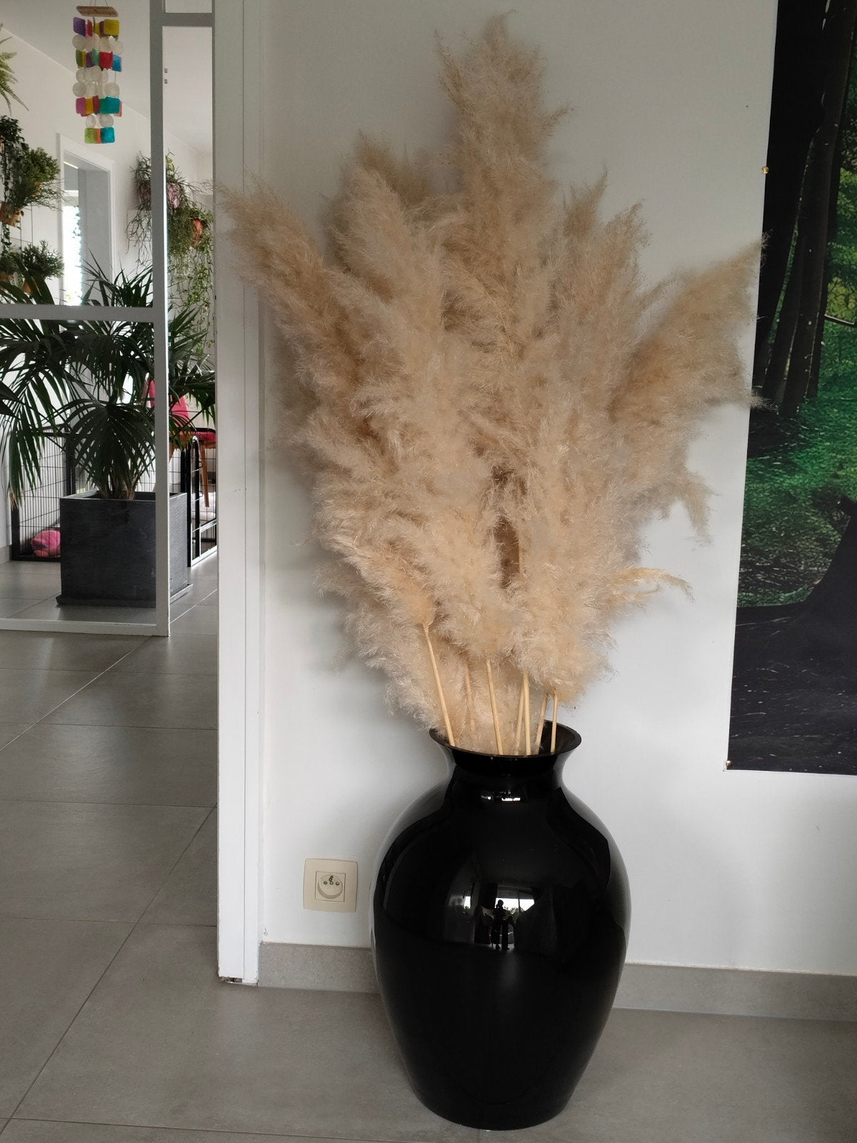 grote vaas kleur zwart met pampas, Ophalen