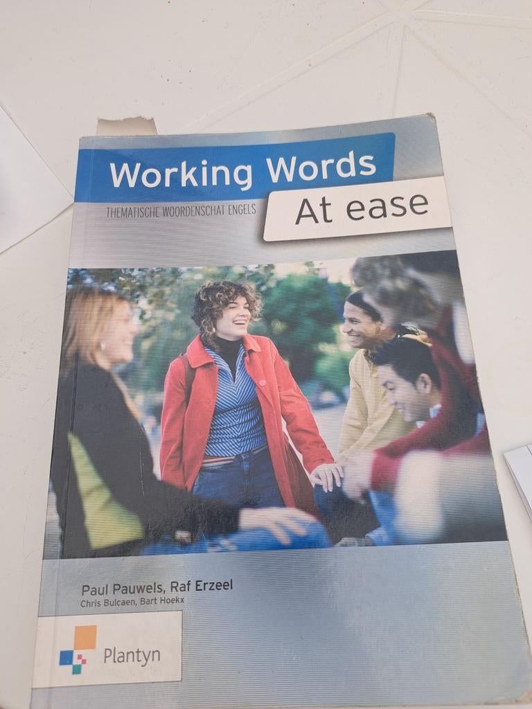 Pauwels - Working words, Boeken, Ophalen of Verzenden, Nederlands, Pauwels