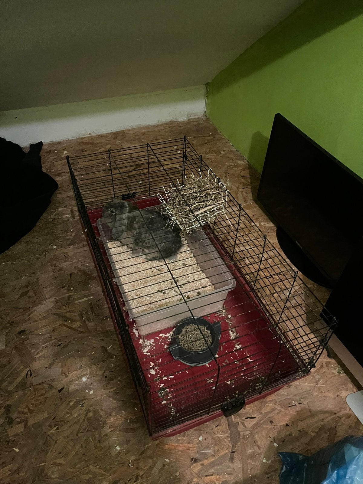 Lapine 3 ans, Enlèvement, Comme neuf, Cage