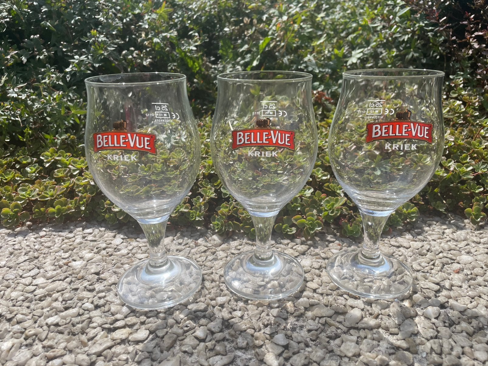 Set 28 glazen - Belle-Vue Kriek, Ricard, Vicaris Quinto, Verzamelen, Ophalen, Nieuw, Bierglas