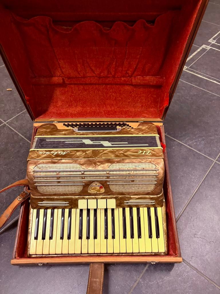 Accordéon Lignatone avec étui marron assorti, Musique & Instruments, Autres marques, Enlèvement ou Envoi, Utilisé, Avec bretelles