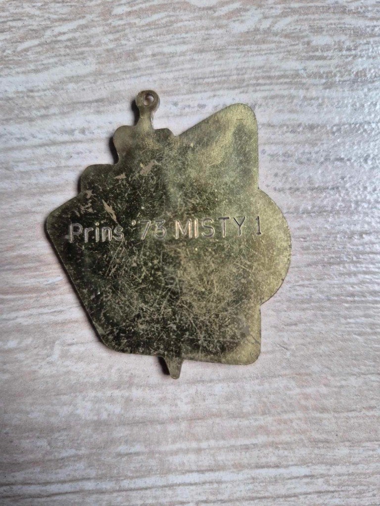 Carnaval medaille prins misty I 1973, Ophalen of Verzenden