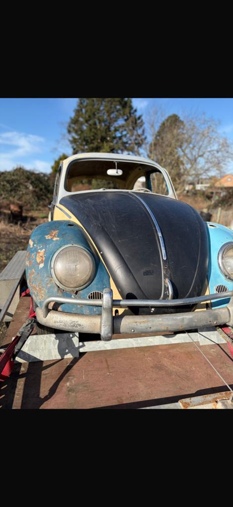 Beetle 1960 arrow à vendre, Enlèvement, Volkswagen