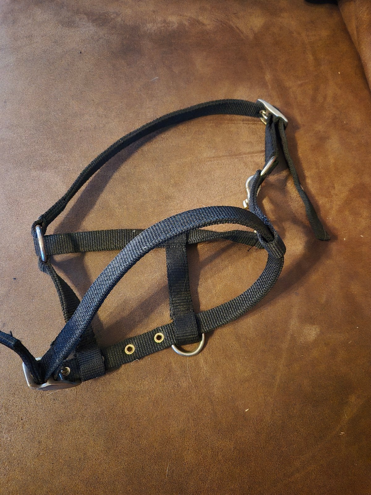 veulen halster, Dieren en Toebehoren, Ophalen of Verzenden, Halster, Full