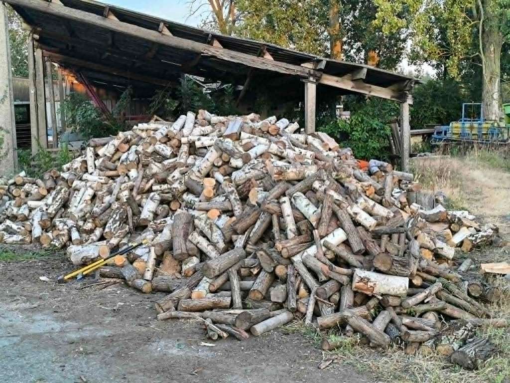Bois de chauffage, Divers, Enlèvement, Neuf