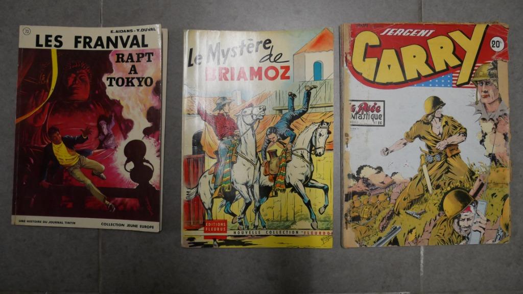 BD Les Franval + Frederi le Gardian + Garry, Livres, BD, Enlèvement ou Envoi