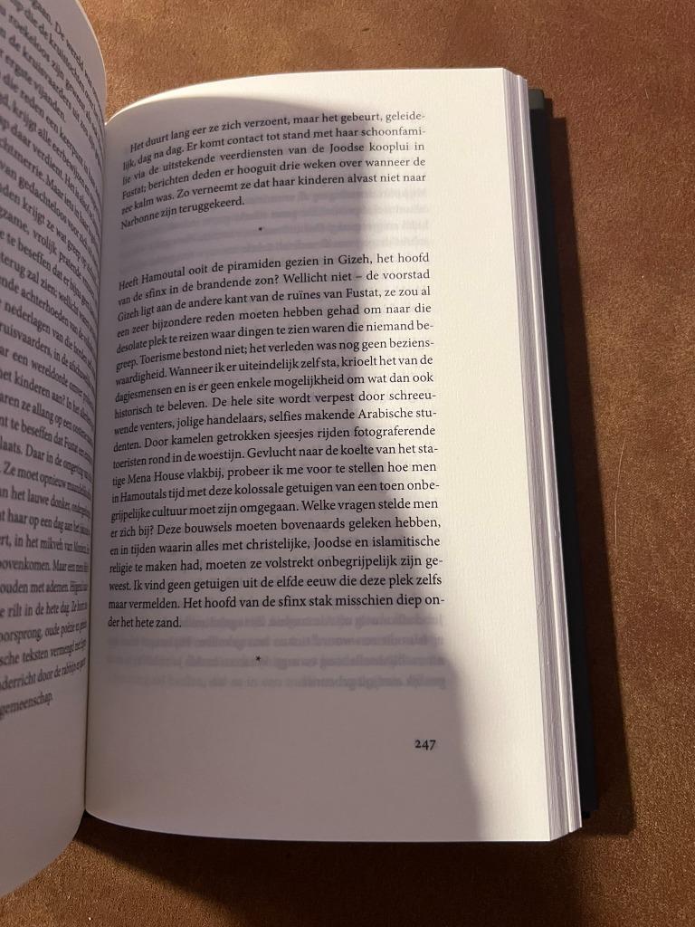 De bekeerlinge - Stefan Hertmans, Boeken, Ophalen of Verzenden, Zo goed als nieuw, Stefan Hertmans, Europa overig