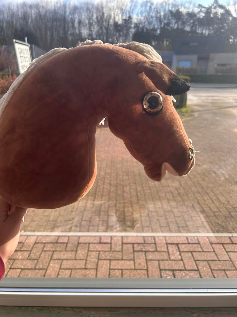Hobby horse te koop, Ophalen of Verzenden, Gebruikt