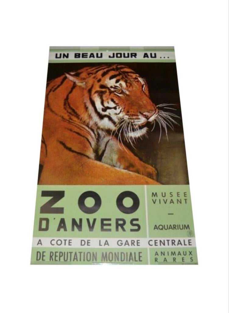 1960s Poster Tijger "Zoo Antwerpen" -  Zoo D’ Anvers, Verzamelen, Deurposter of groter, Ophalen of Verzenden, Dier of Natuur, Rechthoekig Staand