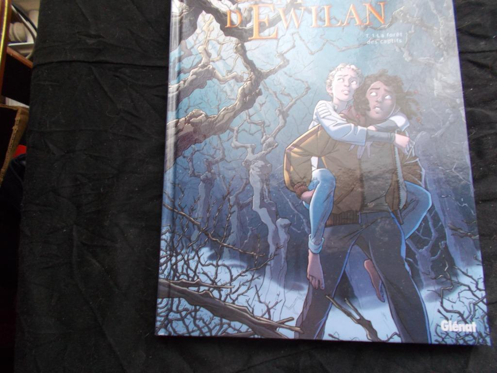 Les Mondes d'Ewilan  (Reste 1 Album)  Genre: Heroic Fantasy, Livres, Une BD, Enlèvement