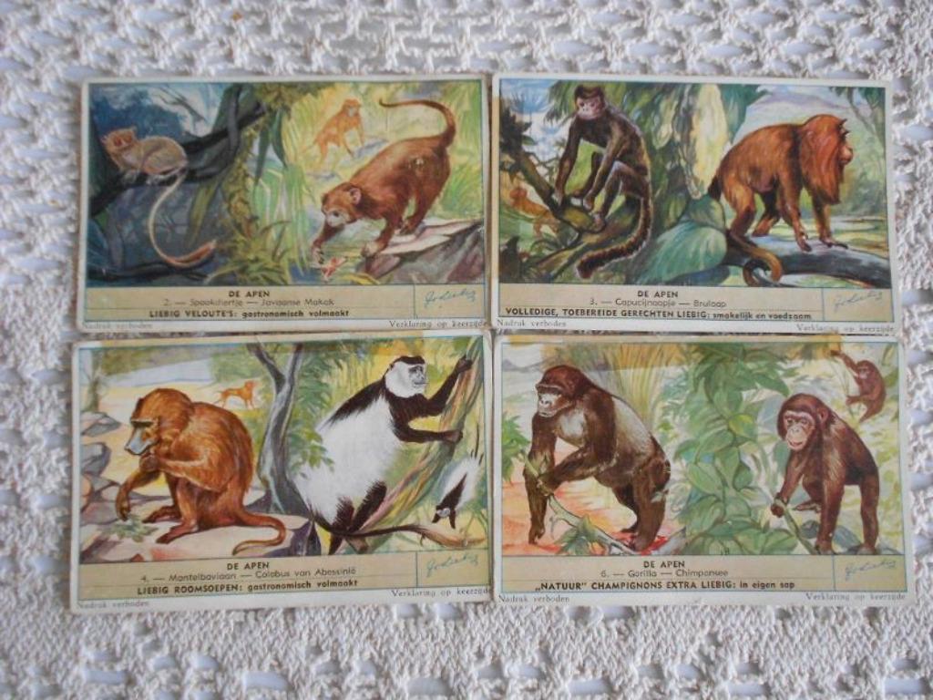 4 prenten van Liebig uit de reeks "De apen", Verzamelen, Foto's en Prenten, Gebruikt, Ophalen of Verzenden, 1940 tot 1960, Dier