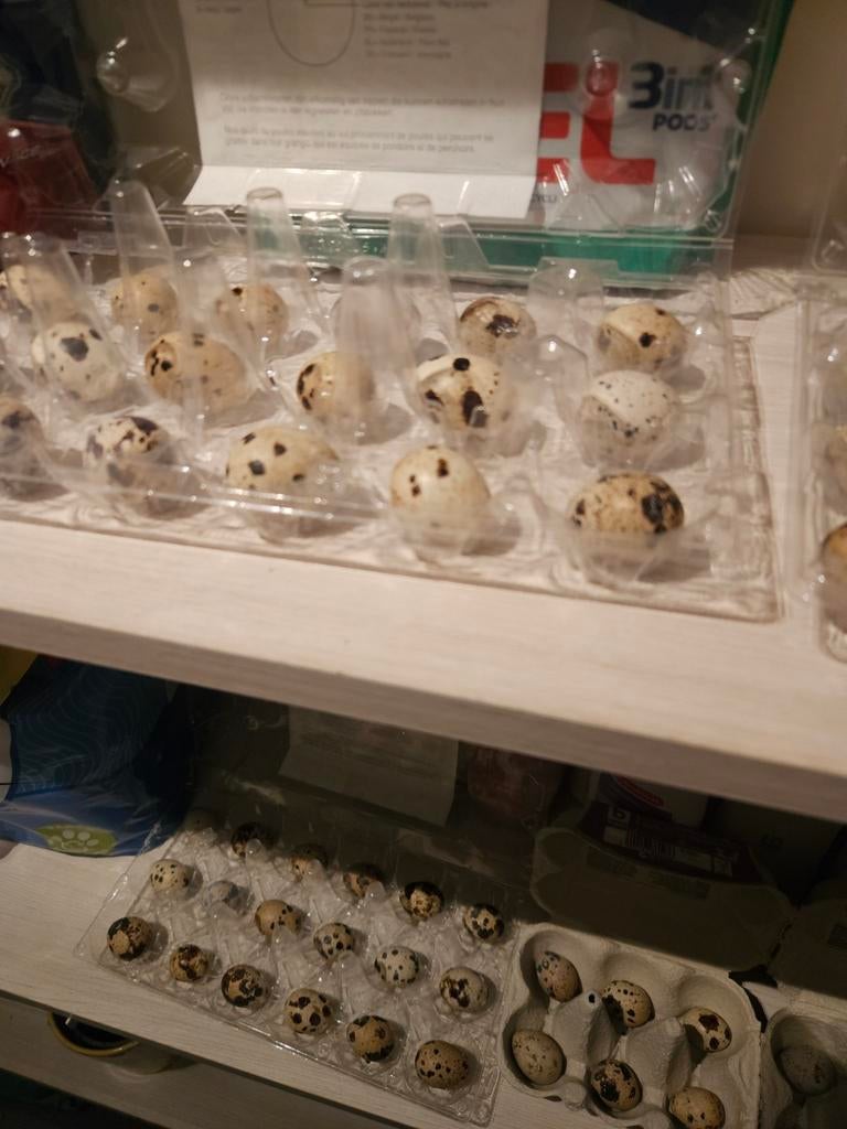 Broedeiren, Dieren en Toebehoren, Pluimvee